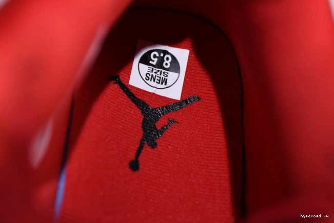 Jordan 4 Air Day Singles AV3914-600 1209